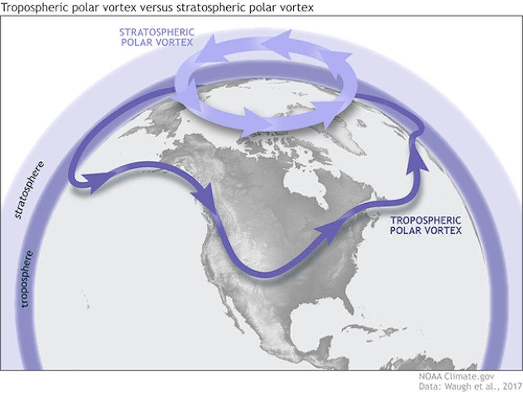 polar vortex Sudden Stratospheric Warming Event