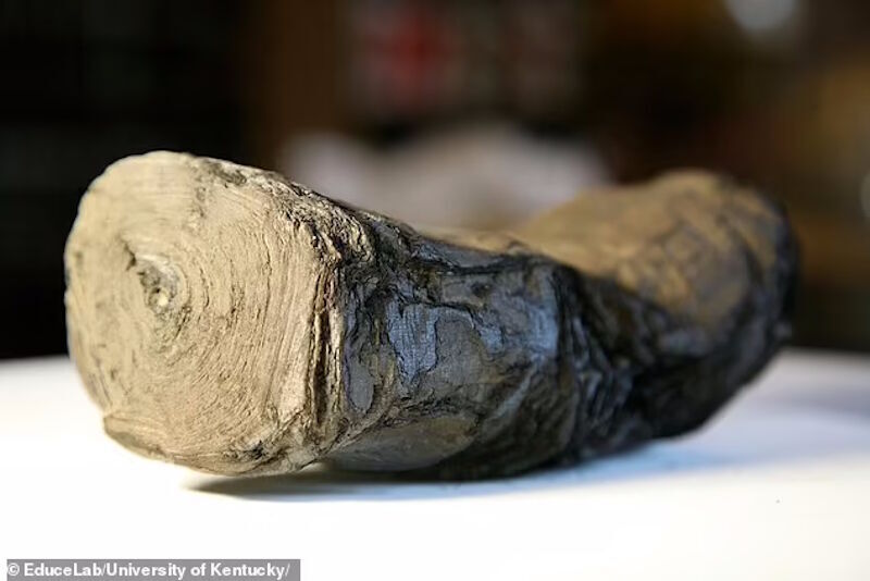 Herculaneum scroll charred vesuvius eruption