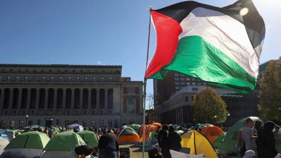 Klikni za povećanje palestine flag us