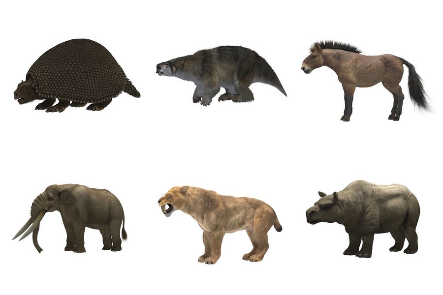 ancient megafauna americas north south