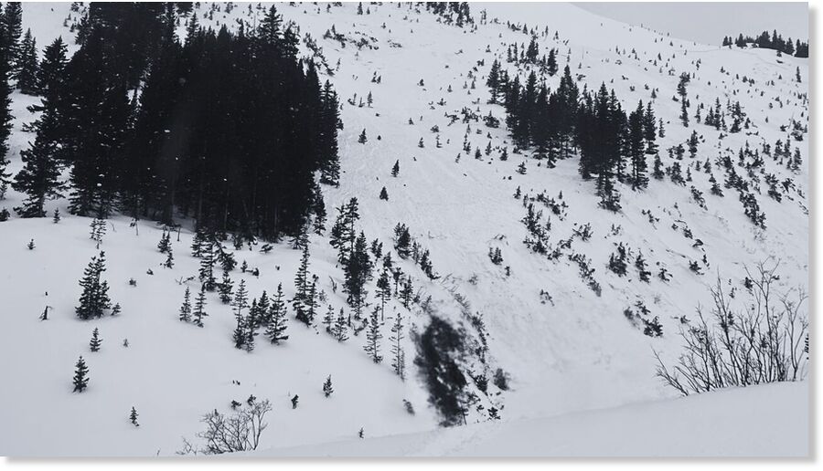 An avalanche in the Middle Fork of Middle Creek drainage where a backcountry tourer was killed on February 20, 2025