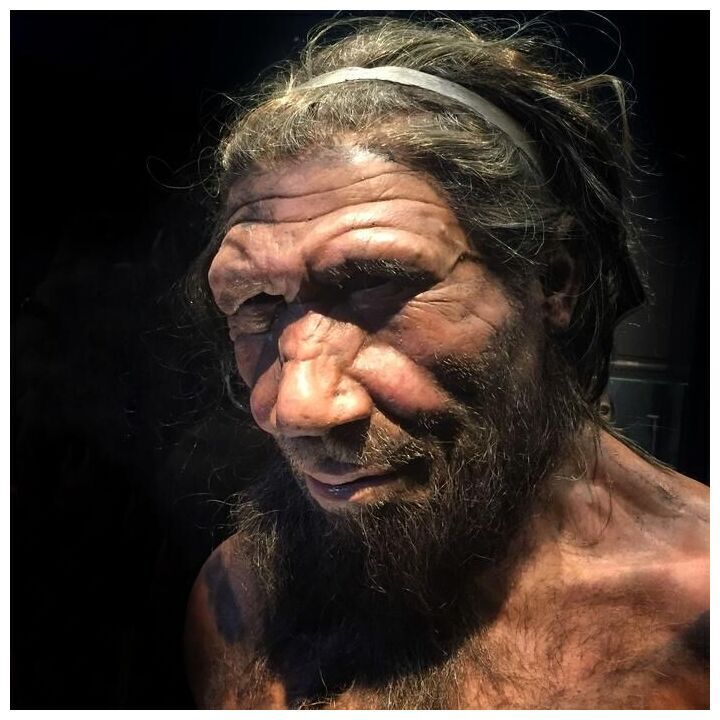 Klikni za povećanje neandertalac