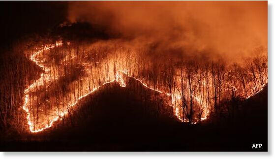 Klikni za povećanje Over 6,700 firefighters have been deployed to battle South Korea's wildfire.