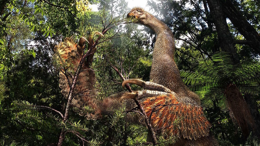 dinosaur sickle claws