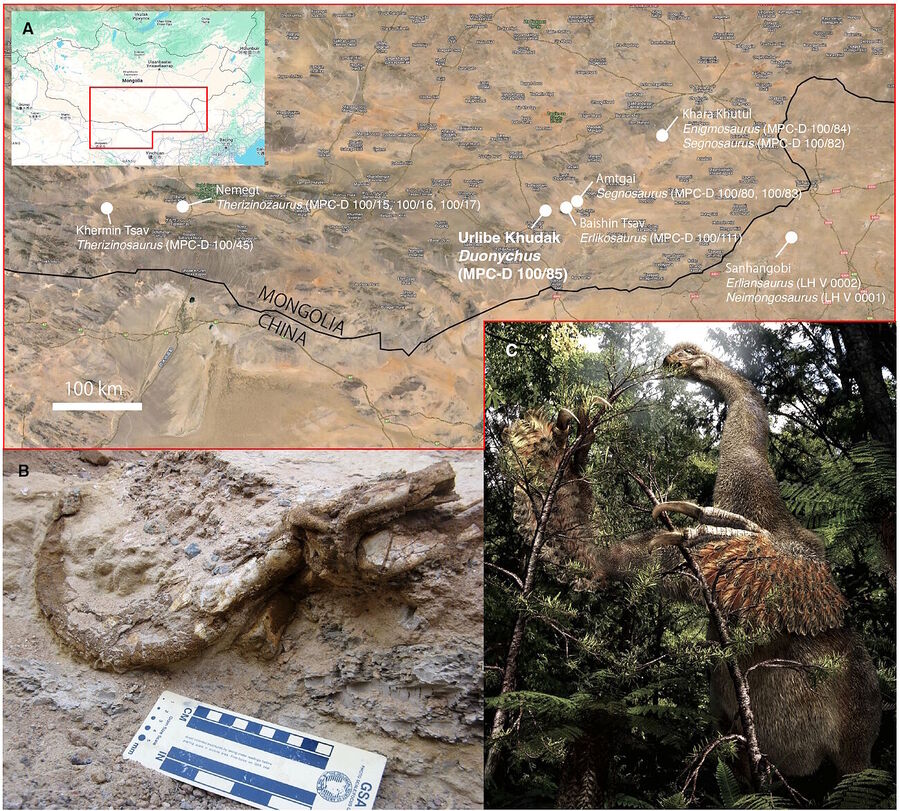 location map dinosaur claws mongolia