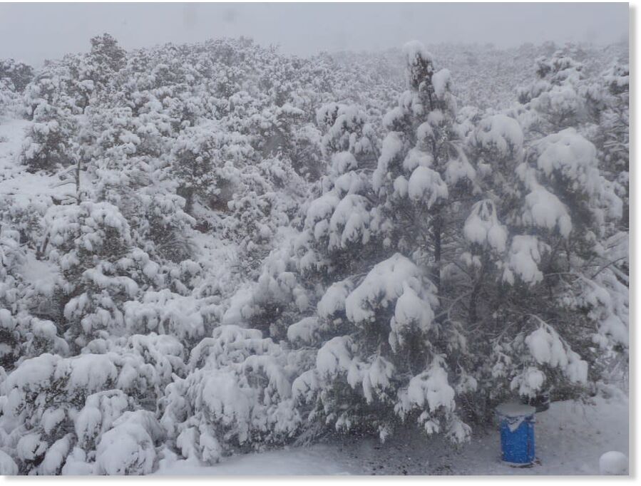 Snowfall in Tijeras
