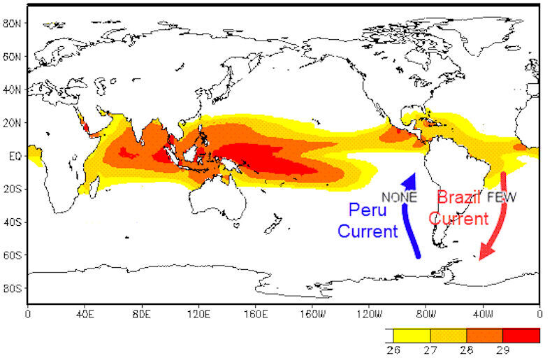 global map ocean currents