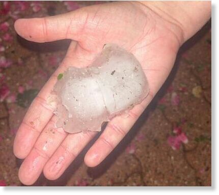8.5 cm hail in Olby, Auvergne Region, France on June 14th 2025.