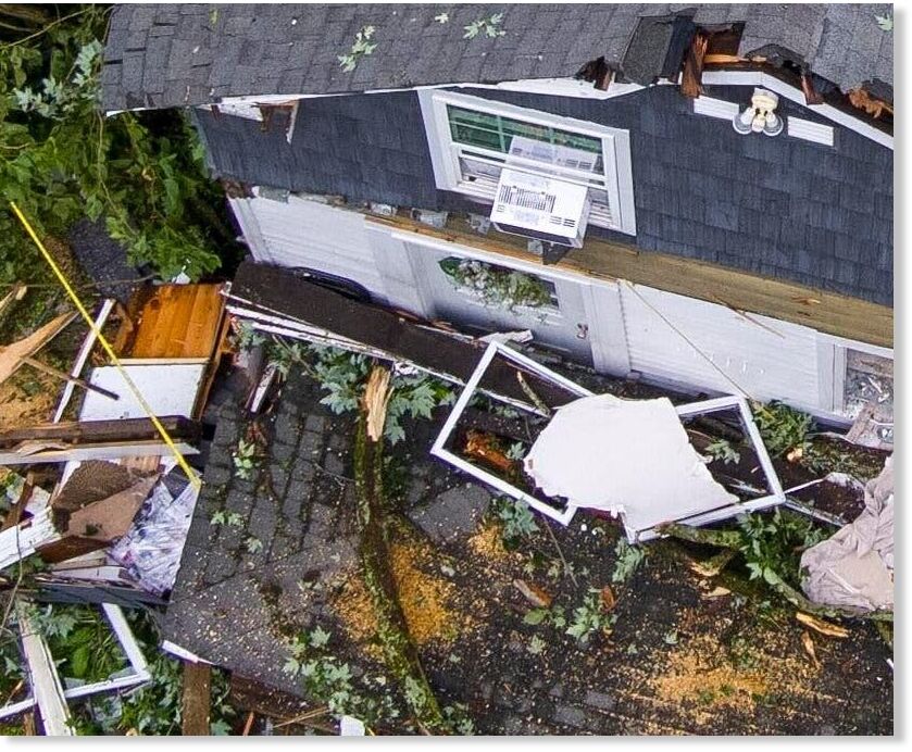 Two sisters were killed when a tree fell