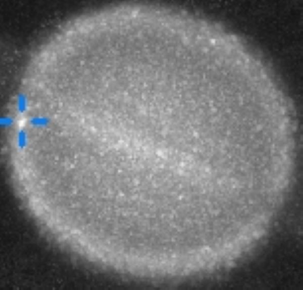 udar saturn