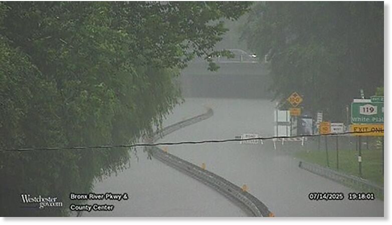 The Bronx River Parkway flooded to the point where people couldn’t even see the road.