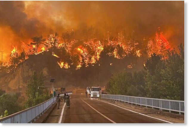 A wildfire near Karabuk, north-west Turkey.