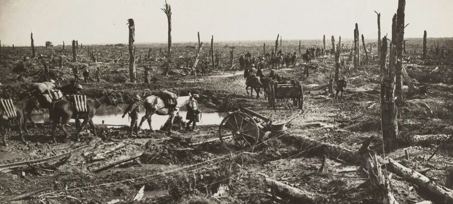 Western Front, 1916