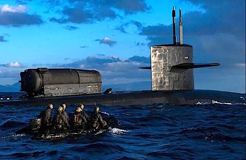 Submarine Seals