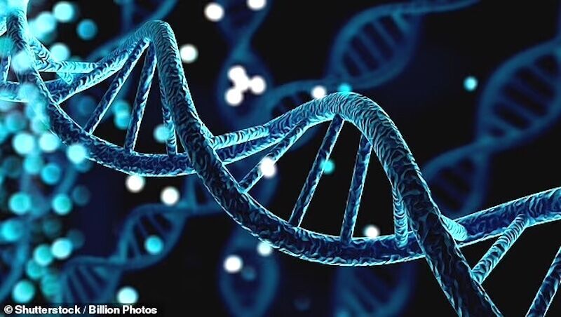 Klikni za povećanje DNA chain