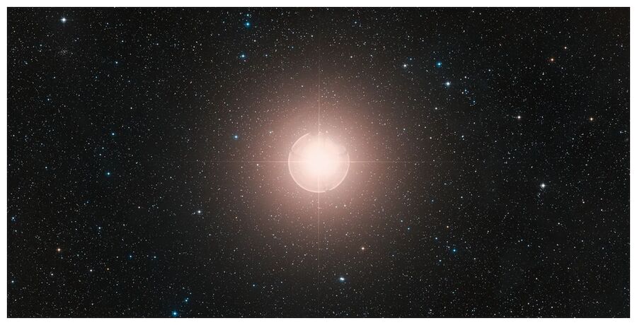 Betelgeuse Companion