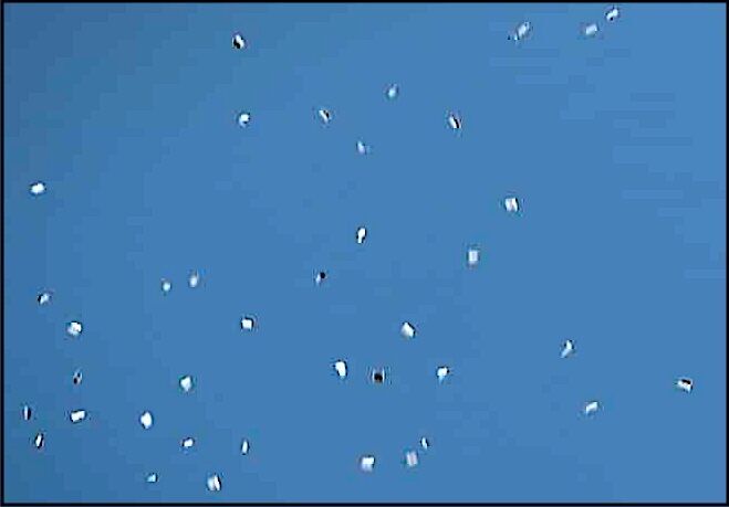 leaflets by drone