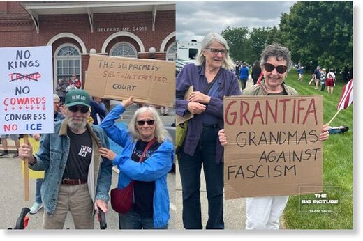 liberal protester