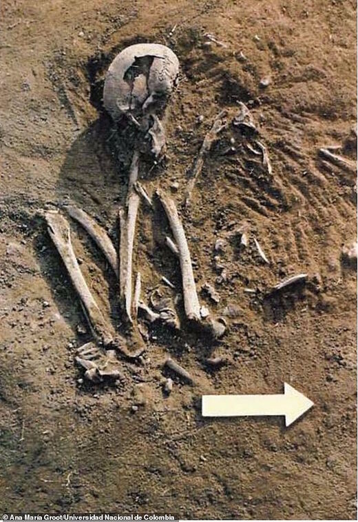 Klikni za povećanje dna columbia