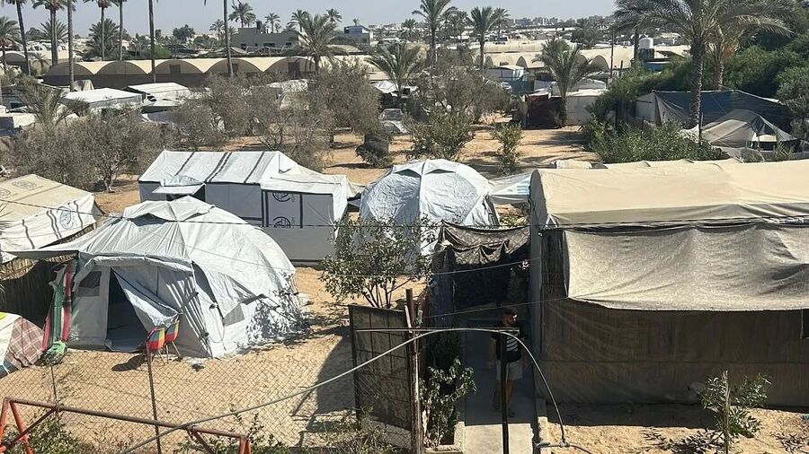 olive farm gaza dry destroyed no harves