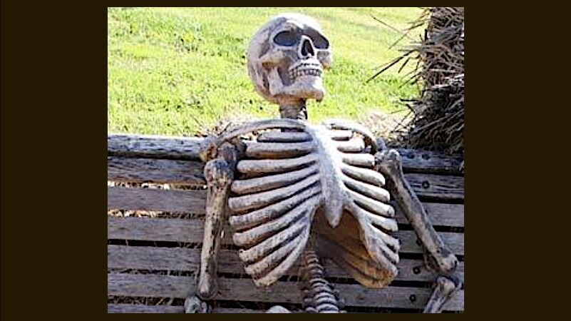 Klikni za povećanje skeleton