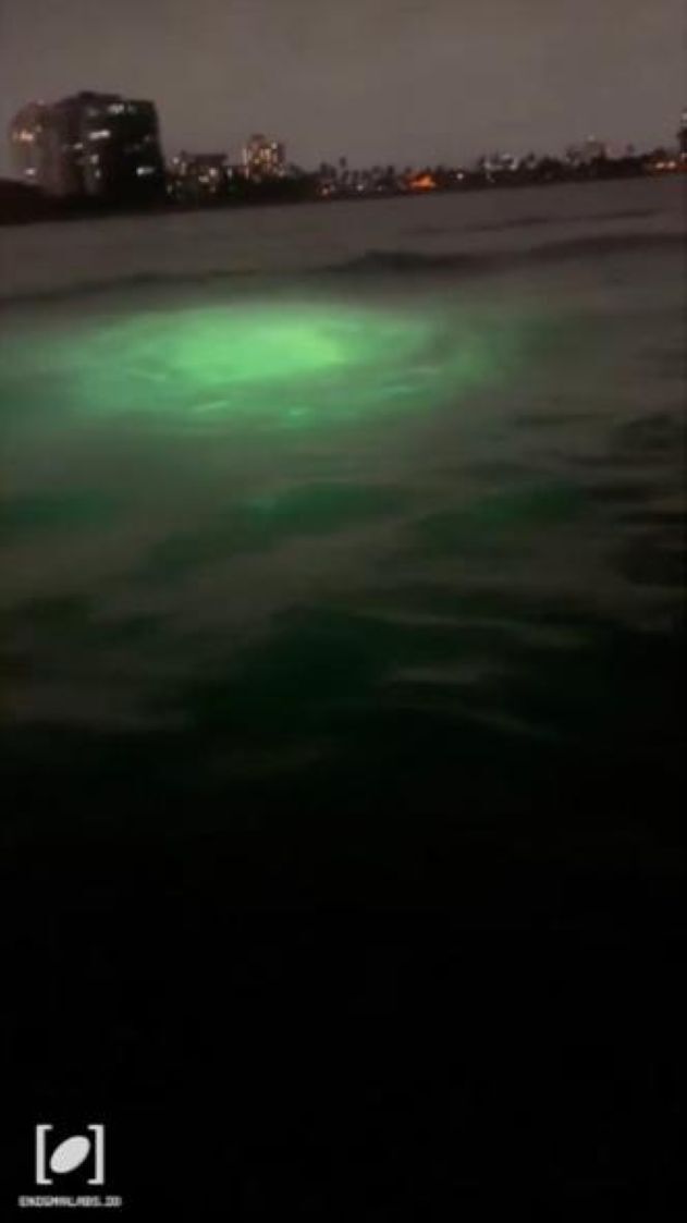 Klikni za povećanje mysterious green lights moving beneath the surface of the ocean