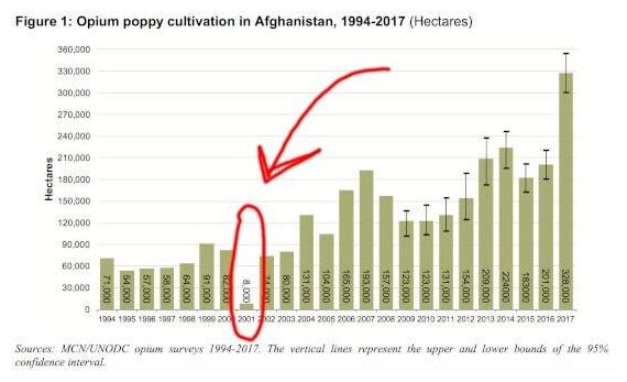 Klikni za povećanje Opium Cultivation
