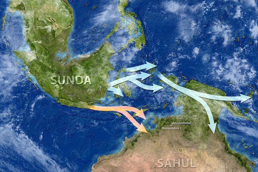 Klikni za povećanje genetics aborigine migration indonesia australia