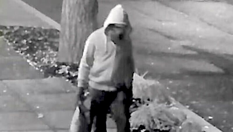 Klikni za povećanje pipebomb suspect