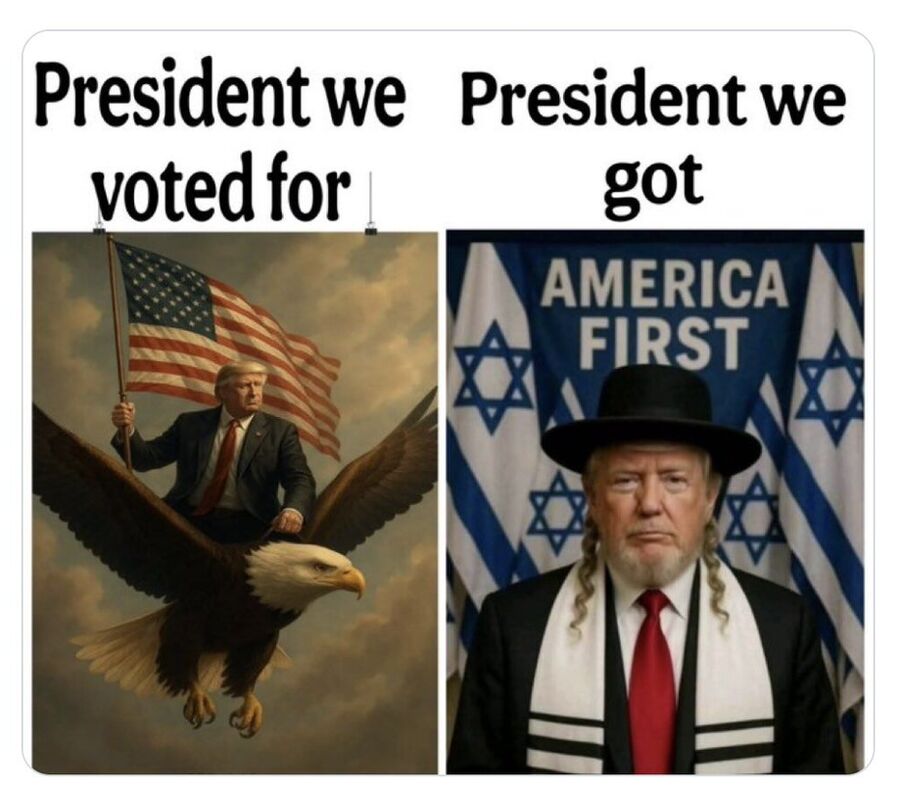 DJT Memes