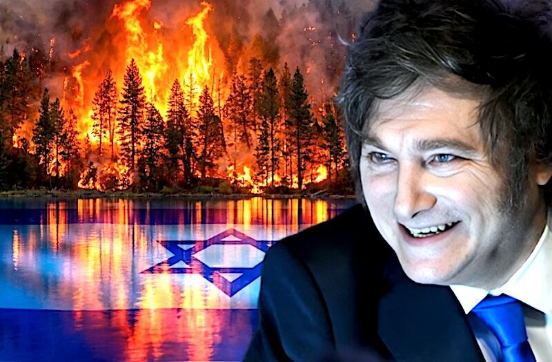 Javier Milei Patagonia fire