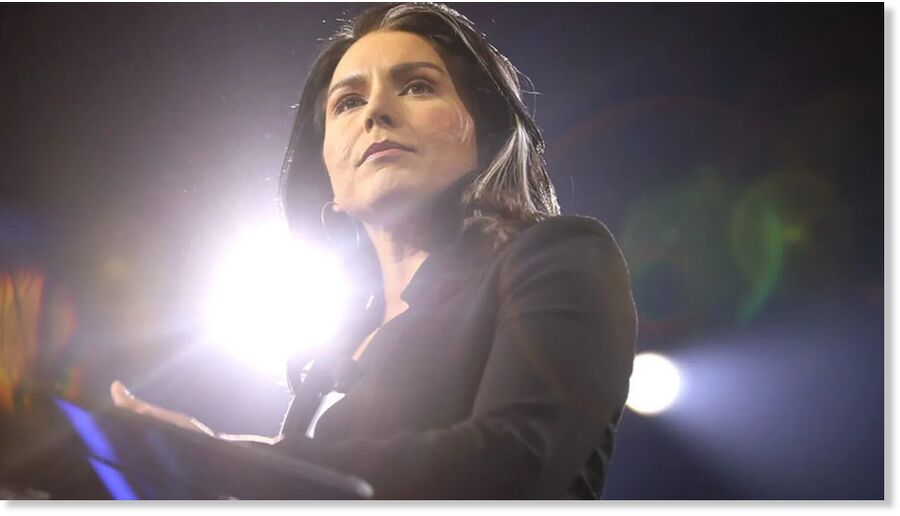 Klikni za povećanje tulsi gabbard