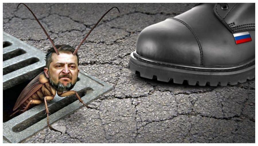 Cockroach