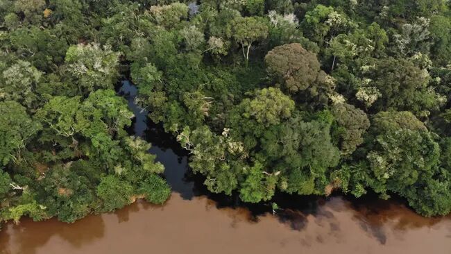 Klikni za povećanje Congo Basin ancient carbon
