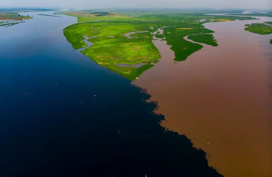 Klikni za povećanje congo basin, fimi and kawai
