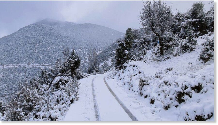 Parnitha Mt, north of Athens on May 3.
