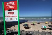 📷️