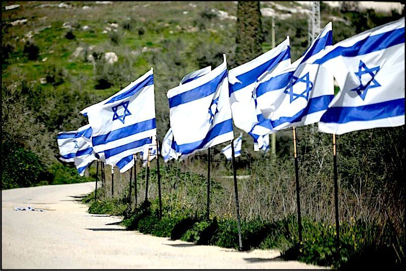 Row of israeli flags