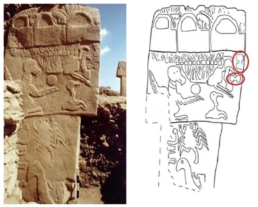 Column 43 from Building D at Göbekli Tepe
