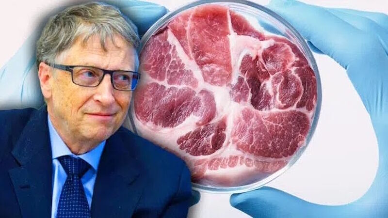 bill gates fake meat alpha gal meat allergy