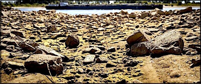 dry rocks